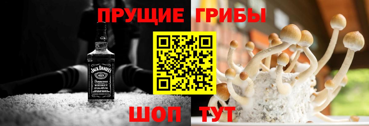 Псилоцибиновые грибы прущие грибы  Вход с VPN  Галлюциногенные грибы прущие грибы  Тамбов 